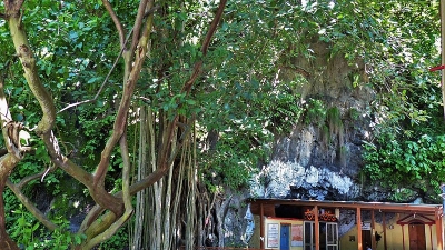 வஷிஷ்ட குஹா