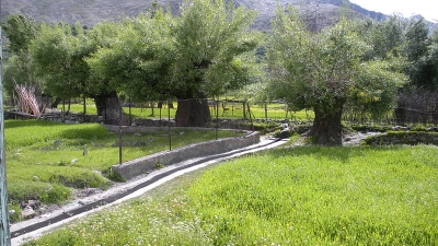 நக்போச்சு