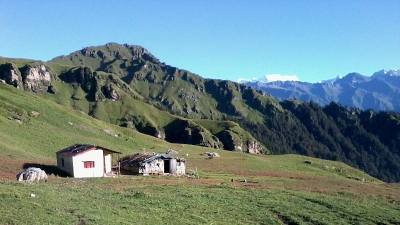 పనార్ బుగియాల్