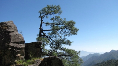 चोराबाड़ी ताल