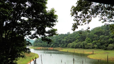 ಪೆರಿಯಾರ್ ವನ್ಯಜೀವಿ ಅಭಯಾರಣ್ಯ