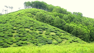 ವಂದಿಪೆರಿಯಾರ್