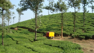 ನೀಲಿಮಲ ವೀಕ್ಷಣಾ ಸ್ಥಳ