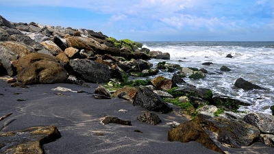 മയ്യനാട്‌