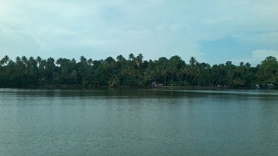 മണ്‍റോ ദ്വീപ്‌