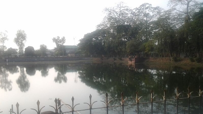 बादुली पुकाहुरी