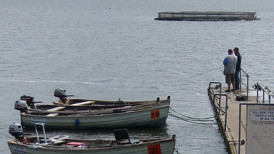 രാധാ പുഖുരി