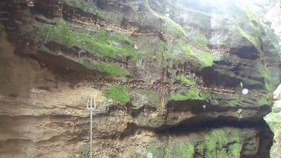 భారత్ నీర్