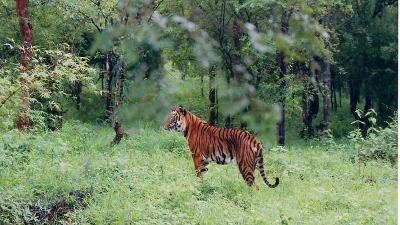 Muthodi Wildlife Sanctuary
