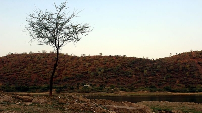 सज्जनगढ़ वन्यजीव अभयारण्य