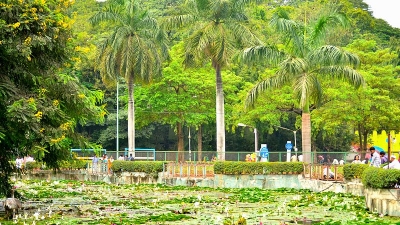 Saras Baug