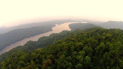 ಶರಾವತಿ ಕಣಿವೆ ವನ್ಯಜೀವಿಧಾಮ