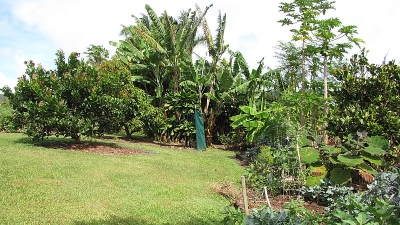 మహామాయి గుడి