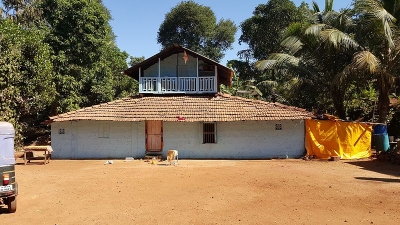 ಹೆಡ್ವಿ