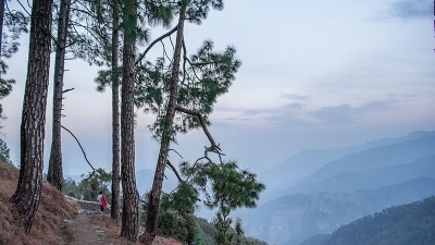 ಬಿನ್ಸರ್