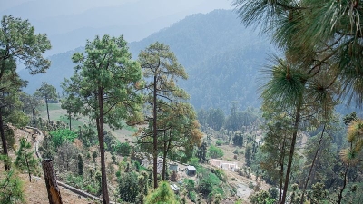 ಬಿನ್ಸರ್ ಅಭಯಾರಣ್ಯ