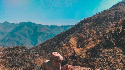 மலையேற்றம்