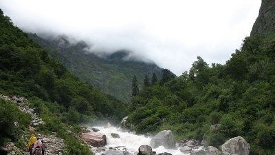 மோரி