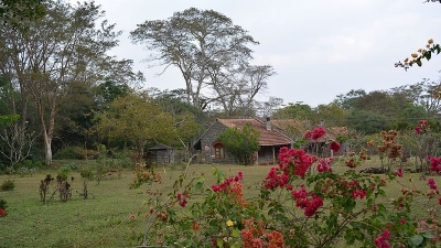 அருங்காட்சியகம்