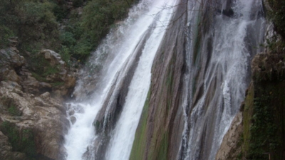 ஓலக்கருவி