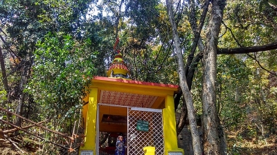 गोनासिका