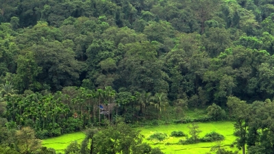 ಝೈರೊ
