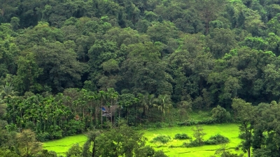 ಕರ್ಡೊ ಅರಣ್ಯದಲ್ಲಿರುವ ಶಿವಲಿಂಗ