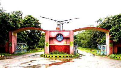 ஹடிபாரி