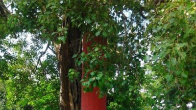 Rashtriya Van Chetna Kendra