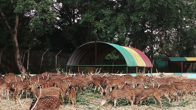 மைத்ரி பாக்