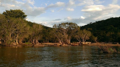 कावेरी वन्यजीव अभयारण्य