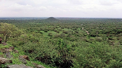 ஹின்கோல்காத் சரணாலயம்