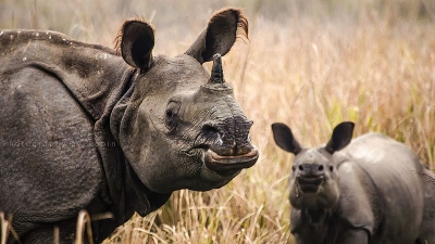 ഭേര്‍ജാന്‍-ബോരാജന്‍-പദുമൊനി വൈല്‍ഡ്‌ലൈഫ് സാങ്ക്ച്യുറി