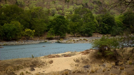 Cauvery Fishing Camp