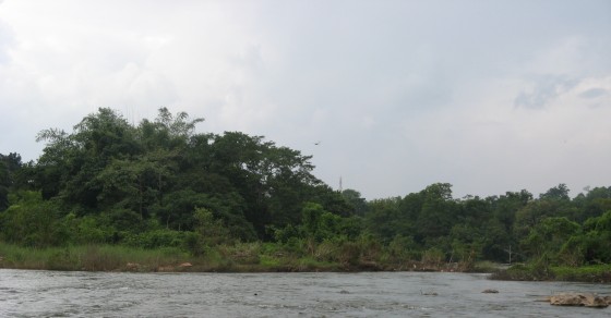 Netravati River Barrage