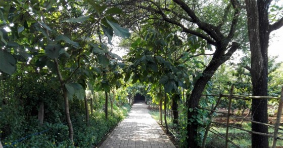 Belgaum Photos, Pictures of Famous Tourist Places and Attractions