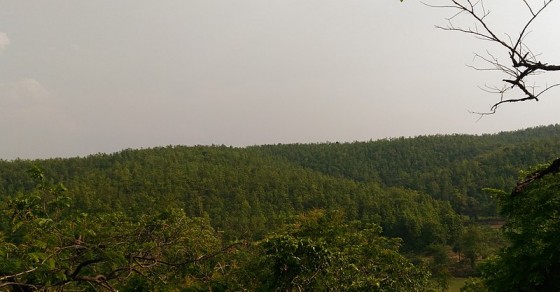 Jhargram Photos, Pictures of Famous Tourist Places and Attractions ...