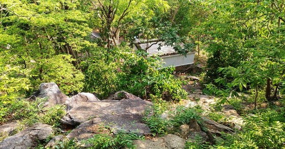 Jhargram Photos, Pictures of Famous Tourist Places and Attractions ...