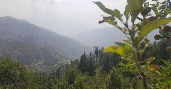 Jubbal Photos, Pictures of Famous Tourist Places and Attractions ...