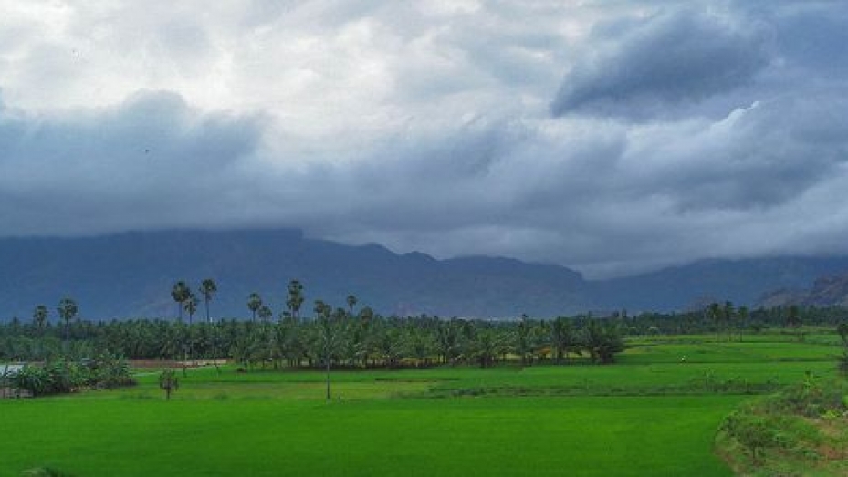Nagercoil Tourism, Travel Guide & Tourist Places in