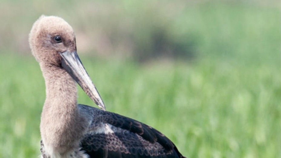 Palwal Photos, Pictures of Famous Tourist Places and Attractions