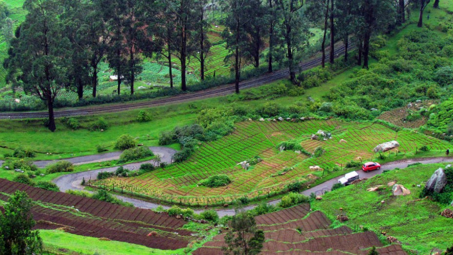 Ooty Tourism, Travel Guide & Tourist Places in