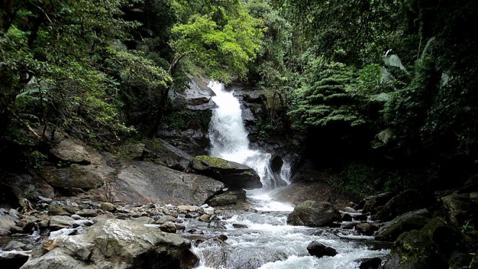 Places to Visit in Palakkad Tourist Places in Palakkad, Palakkad