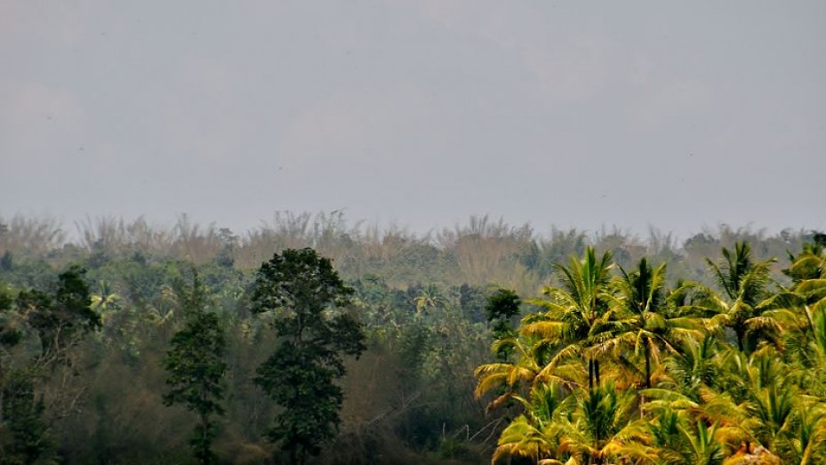 Sultan Bathery Photos, Pictures of Famous Tourist Places and