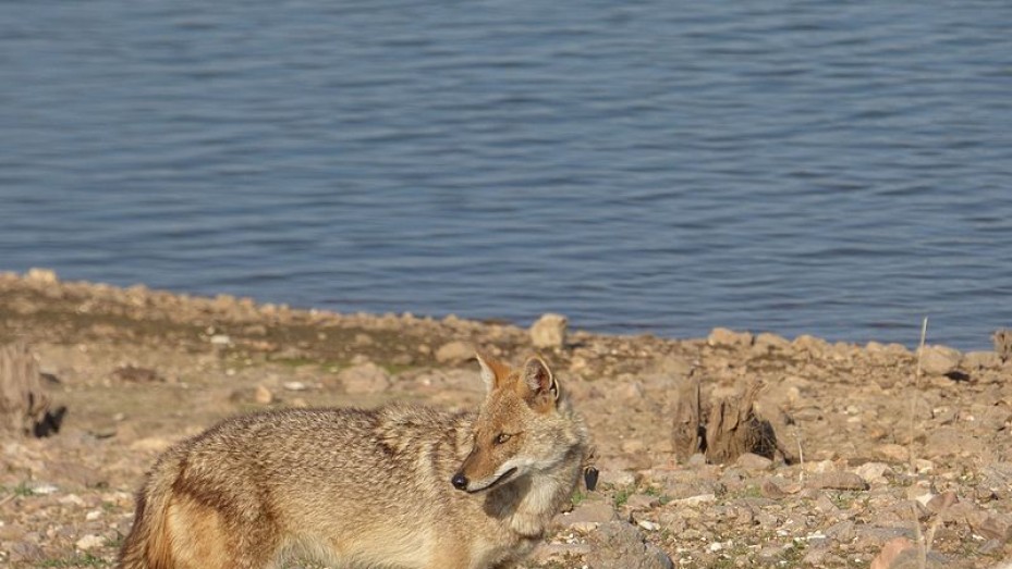 Seoni Photos, Pictures of Famous Tourist Places and Attractions