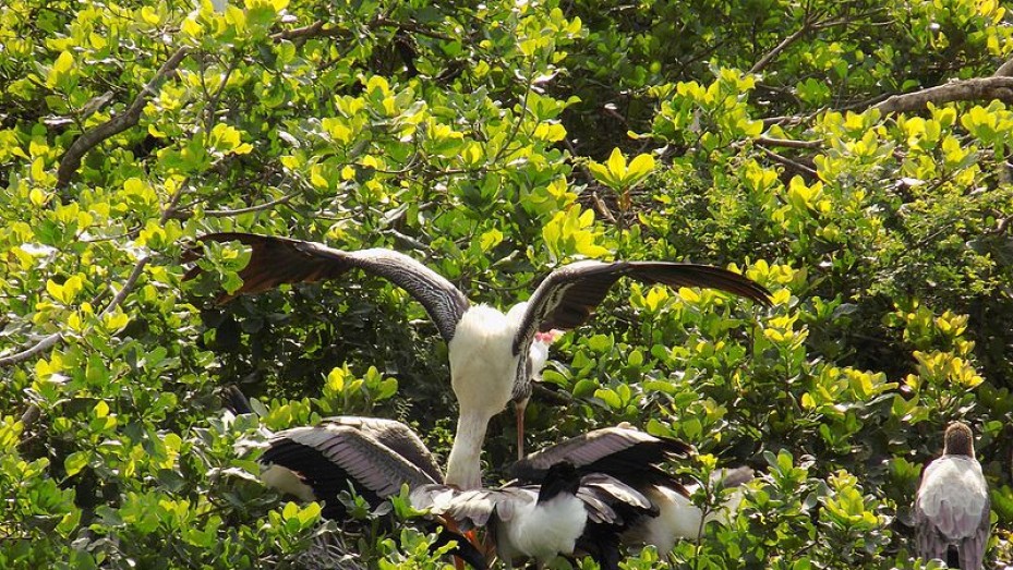 Erode Photos, Pictures of Famous Tourist Places and Attractions