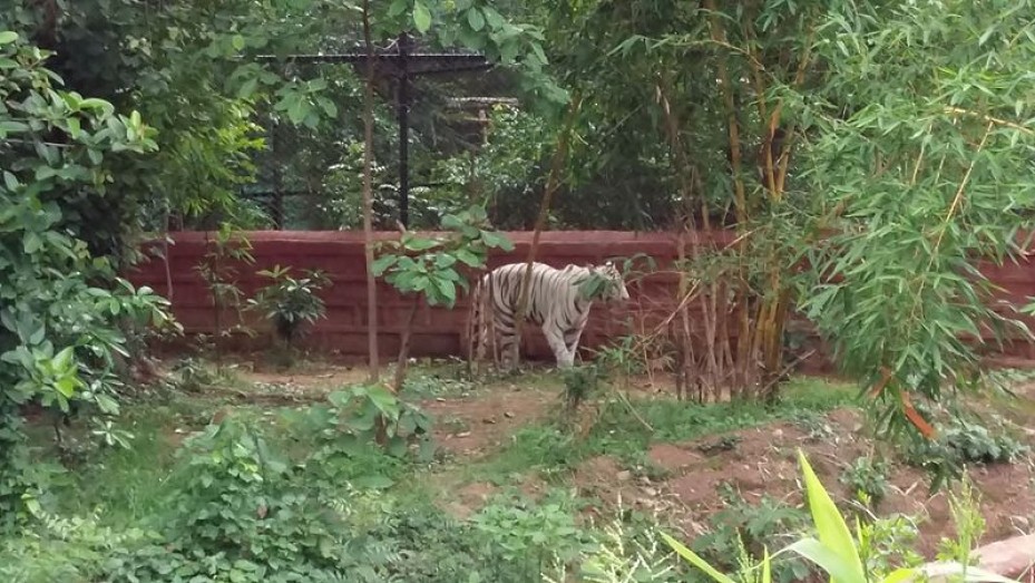 Kaimur Wildlife Sanctuary Kaimur Kaimur Wildlife Sanctuary Photos