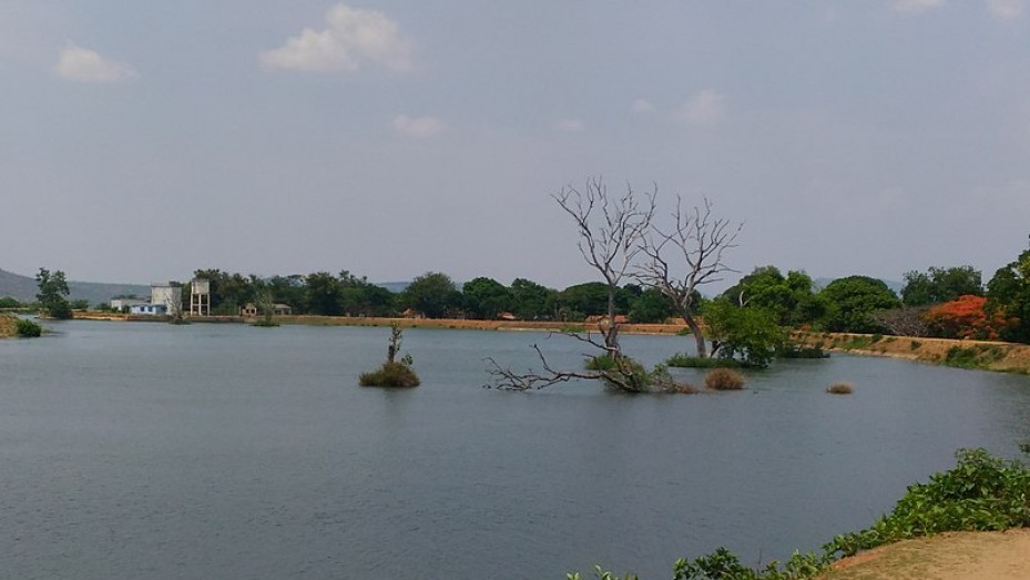 Moyar River Mudumalai Moyar River Photos, Sightseeing