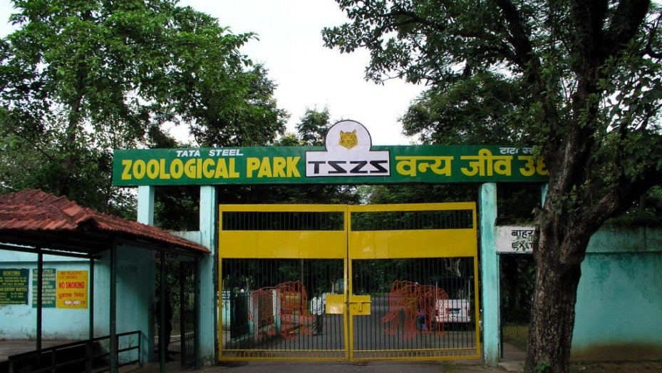 Tata Steel Zoological Park Jamshedpur Tata Steel Zoological Park