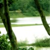 Swarga Homestay